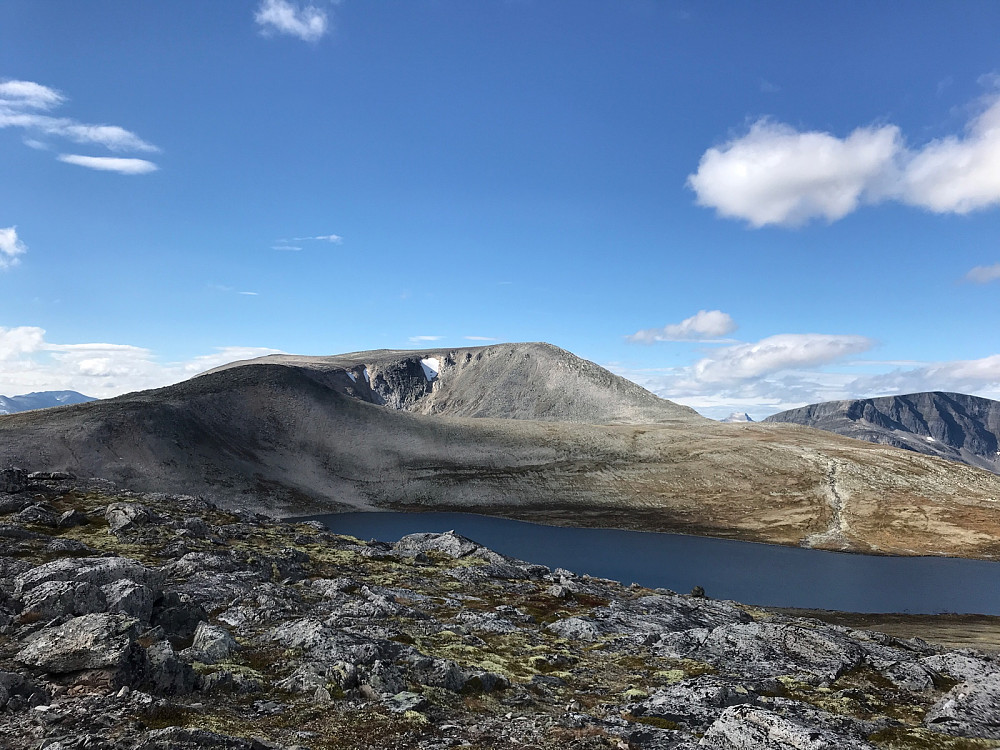Snydda fra Korgtjønntangen.