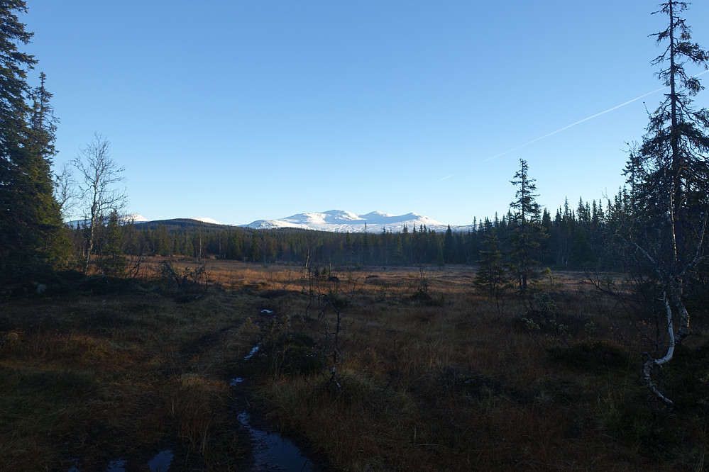 Ganske snart får vi en nydelig snøkledt topp i sikte. Det er bare litt myr, bekker og elver som skal forseres først.