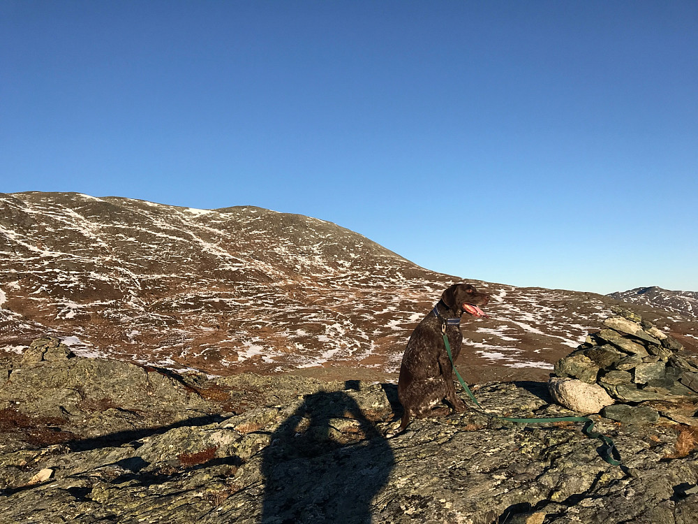 Dagens første topp, Hesthøa med videre rute rett bak Atlas. Lav sol til tross for at det snart er midt på dagen.
