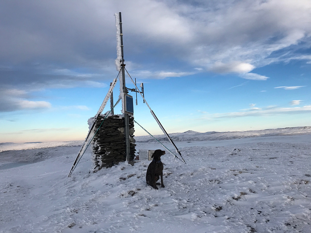 Antenneutstyr drevet av solcelleanlegg på toppen. Trolig er dette en del av VHF-nettet til Røde Kors.