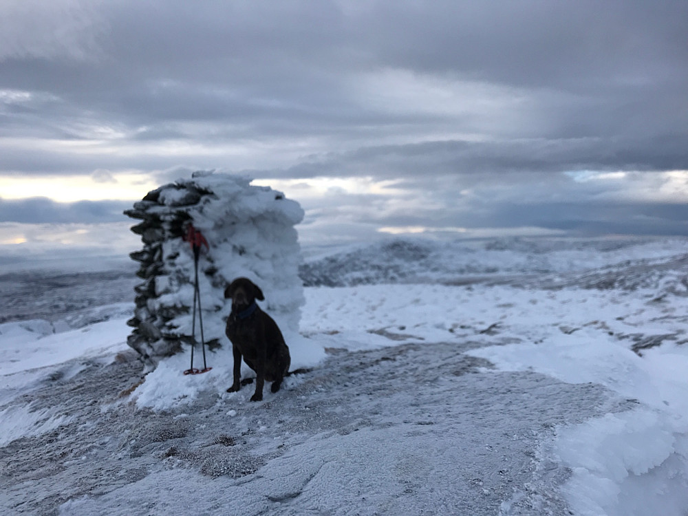 Storskarven.