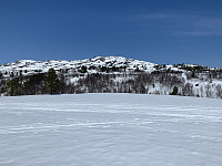Utsikten til Resfjellet fra hytteveggen.