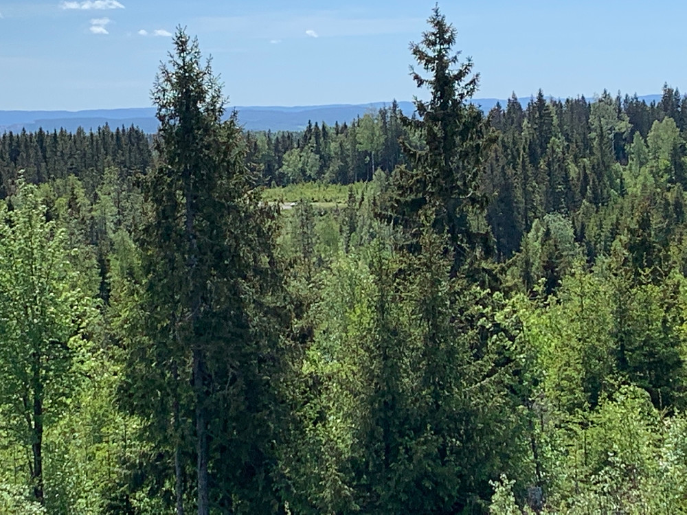 Utsikt tilbake til parkeringen fra toppen.