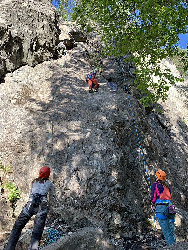 Topptauing på Grefsenåsen.