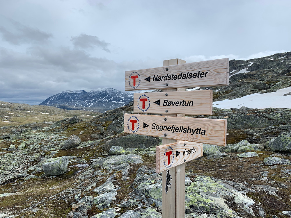 Jeg hadde god tid og tok en god omvei på DNT-stien mot Bøvertun/Nærdstedalseter. Her i stikrysset "tilbake" til Sognefjellshytta.