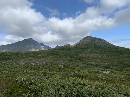 Endelig er jeg gjennom tett skog og toppen av Holandsmelen dukker opp.