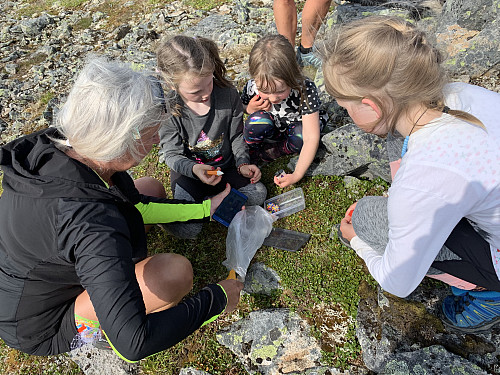 GeoCache-aktiviteter på fortoppen.