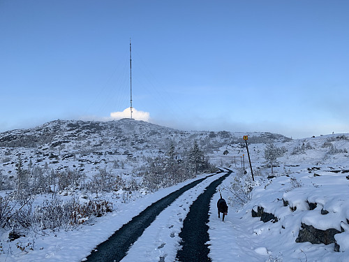 Snø oppe på fjellet.