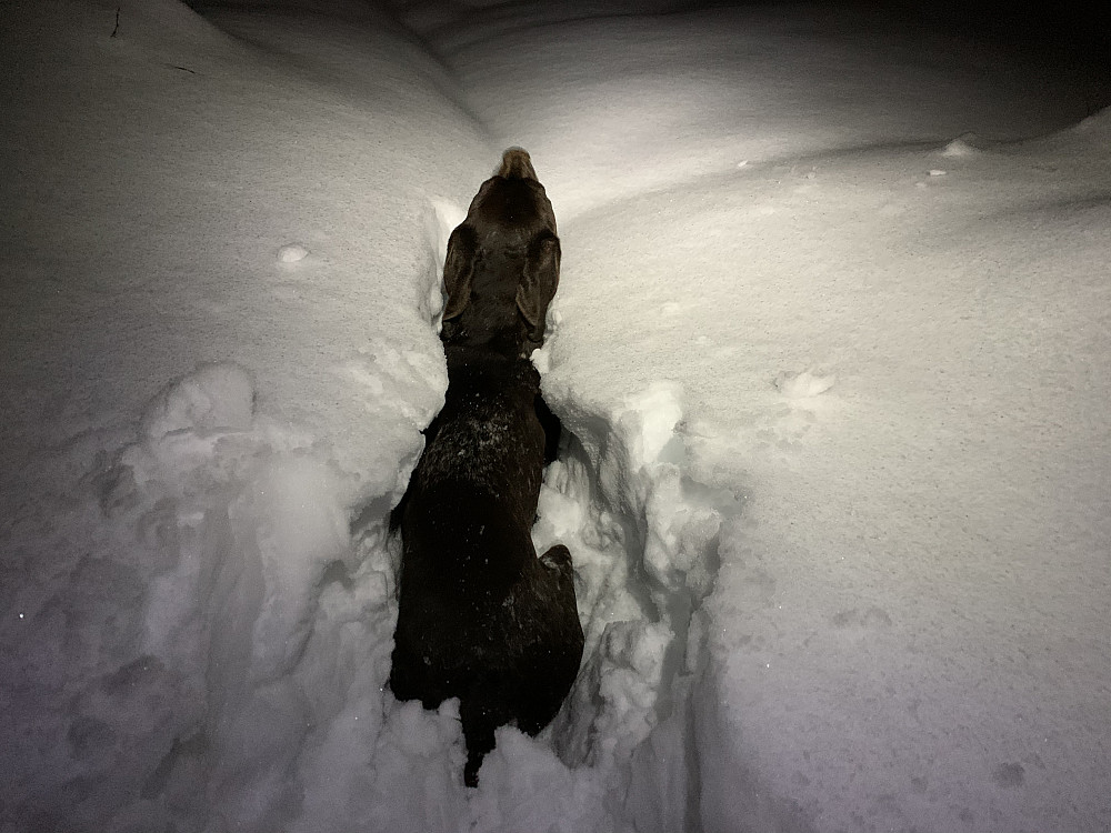 Tungt å brøyte.