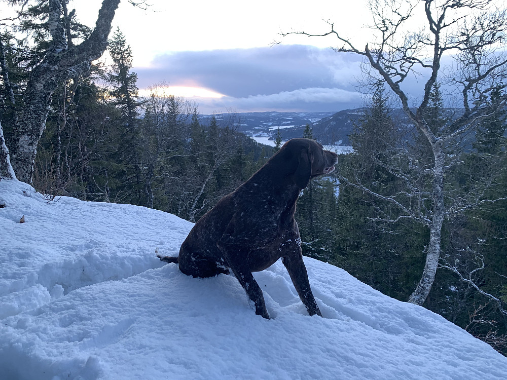 Vi lengter mot Trollheimen i det fjerne.
