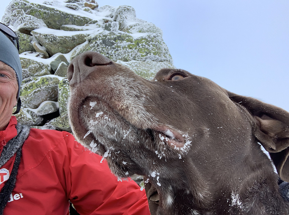 Fjellfie ved toppvarden.