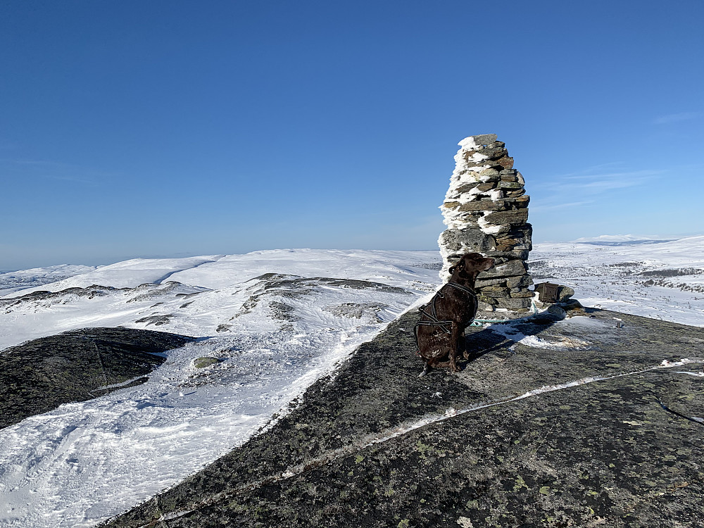 Toppen av Burufjellet med Samsjøvola bak. Ble for sen start til å ta med Samsjøvola i dag.