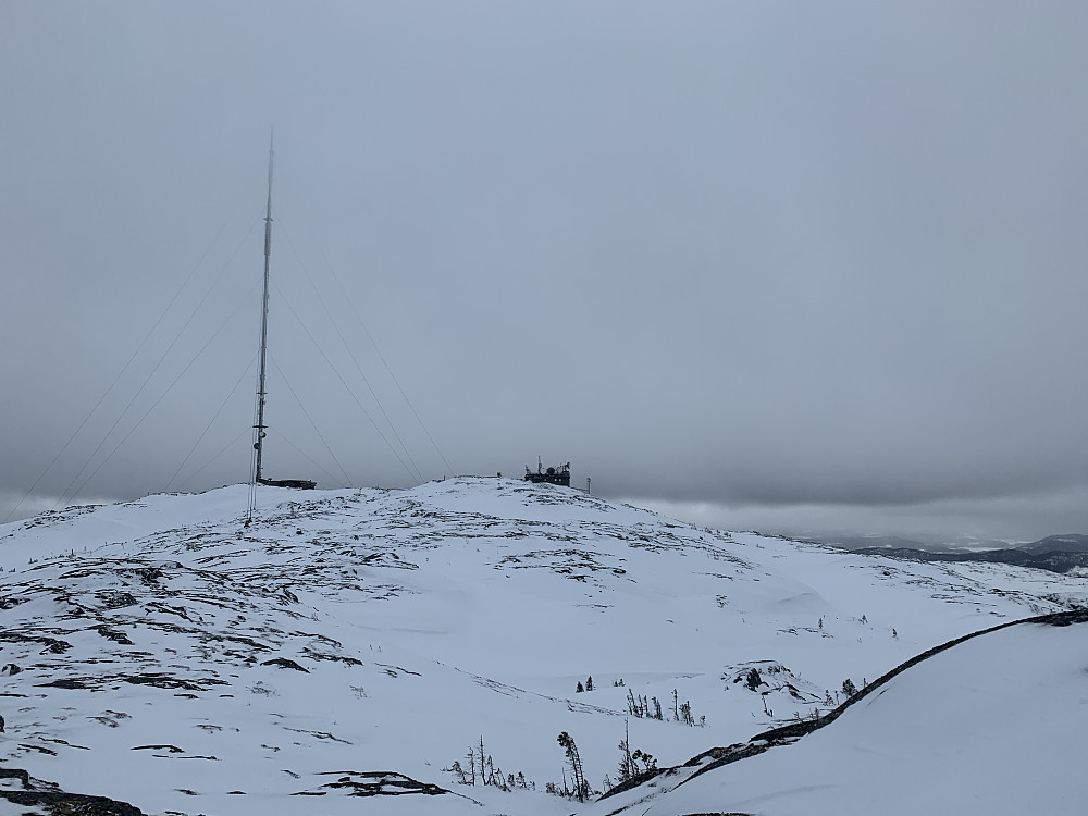 Vassfjelltoppen fra nord.