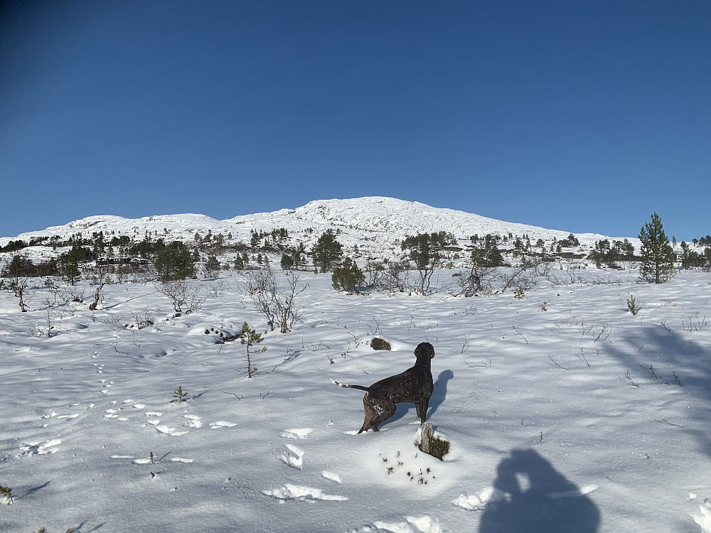 En god del snø men vi valgte å gå.