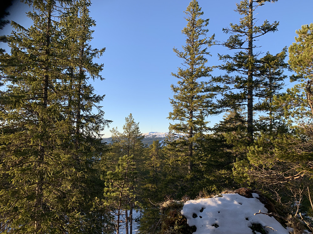 Utsikt mot skyggesiden av Vassfjellet.