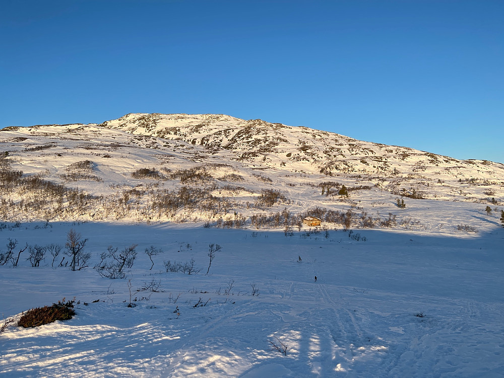 Atlas på vei mot Høyløa med Resfjellet bak.