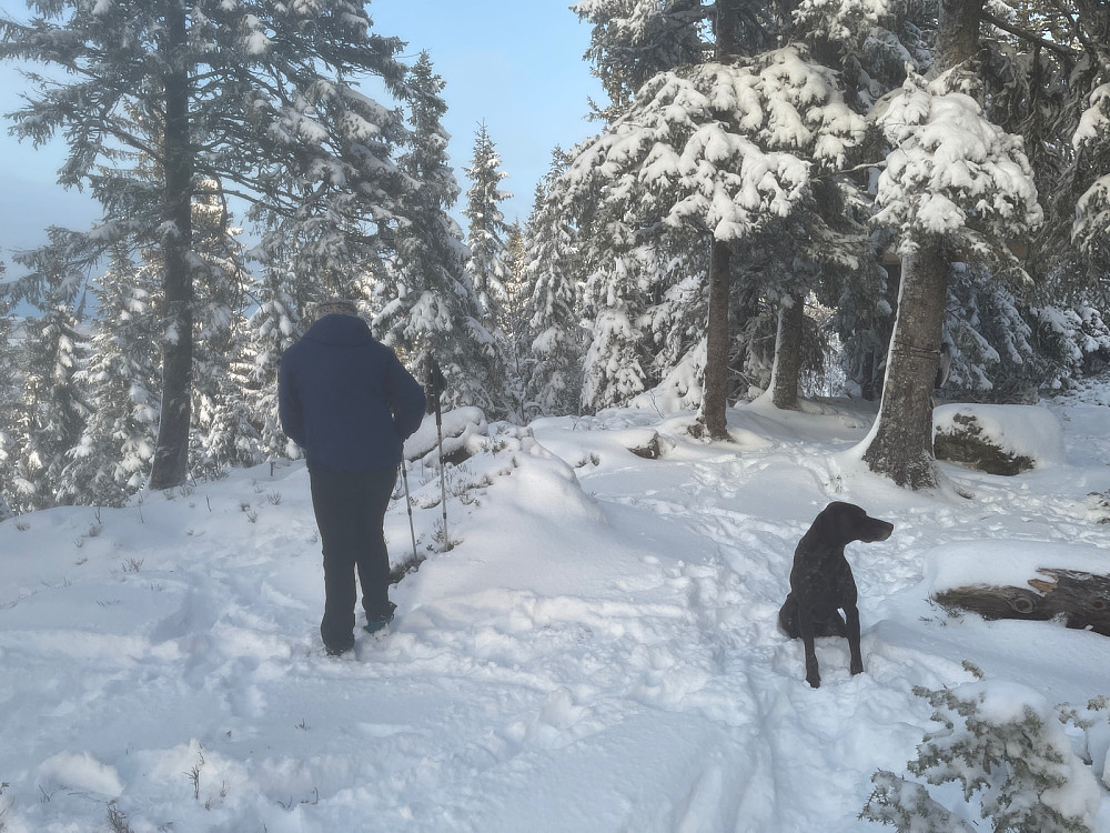 På toppen.