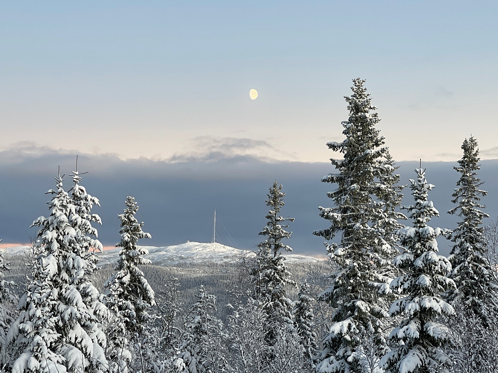 Vassfjellet og månen.