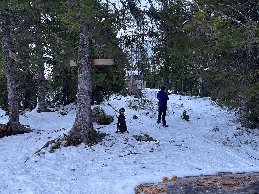 Fotosession på toppen.