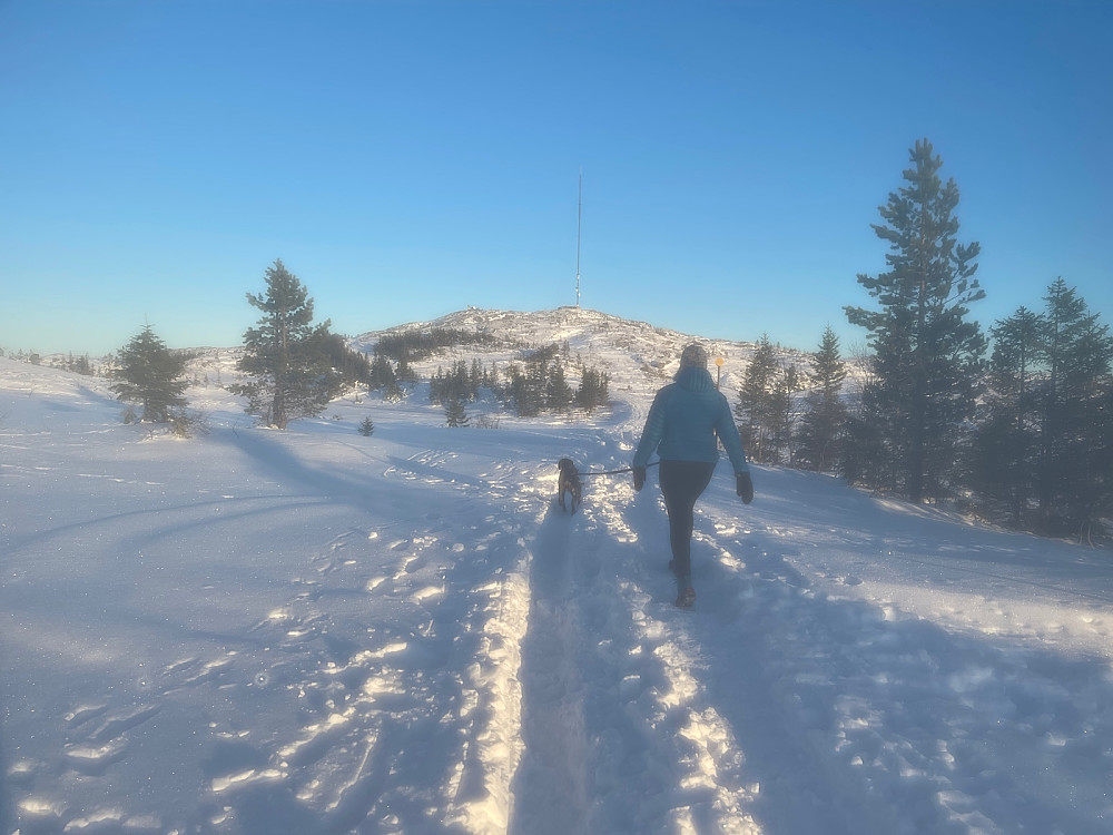 Sola varmer godt i høyden.