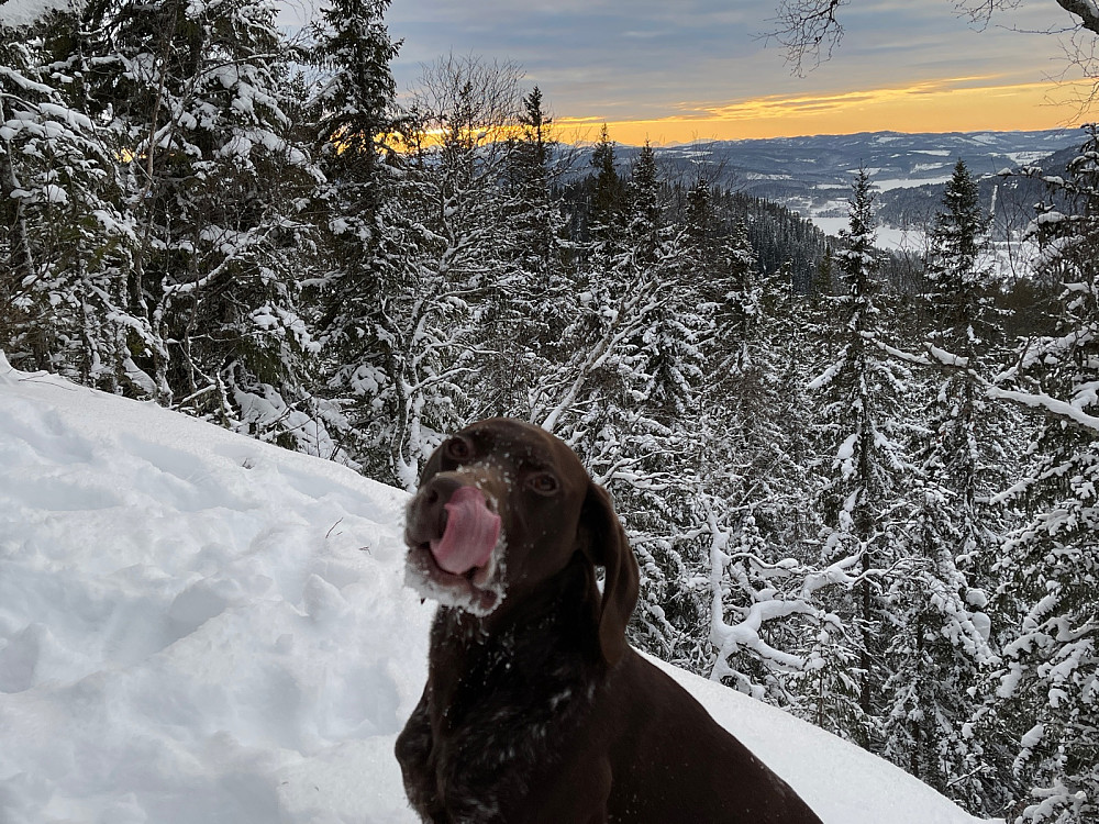 Trollhetta, Rinnhatten og Snota i det fjerne.