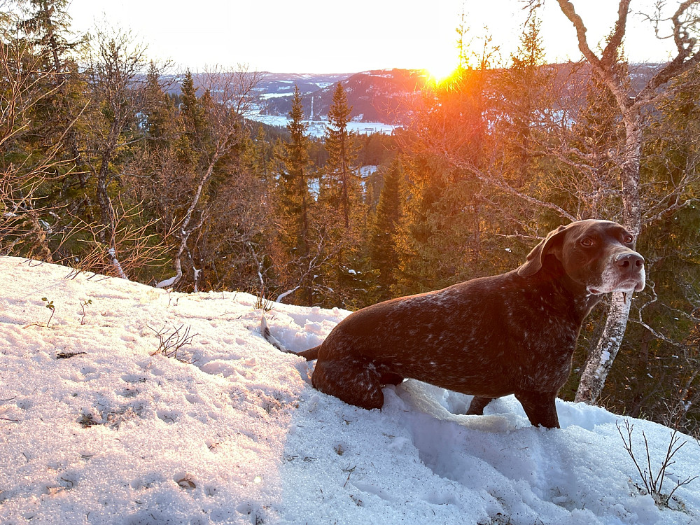 Solnedgang fra Våttåsen