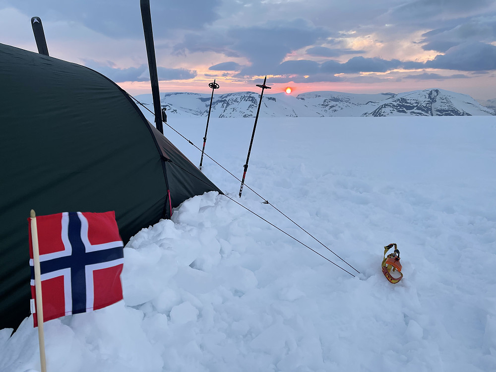 Jeg er ingen Åge-fan men må innrømme at jeg nynnet litt på "Norge mitt Norge" da jeg fikk denne opplevelsen under tannpussen til kvelds.