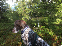 sturlas_2014-08-17_17.12.01.jpg