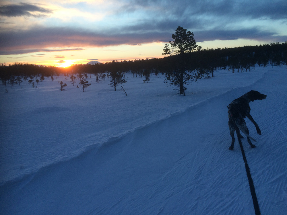 Soloppgang over Kregneskjølen.