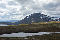 sturlas_dsc01575.jpg