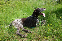 sturlas_dsc01695.jpg