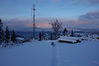 FIn utsikt fra toppen. Her utover Tronsheimsfjorden.