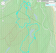 GPS-spor fra O-turen (skjermprint fra GpsVisualizer).