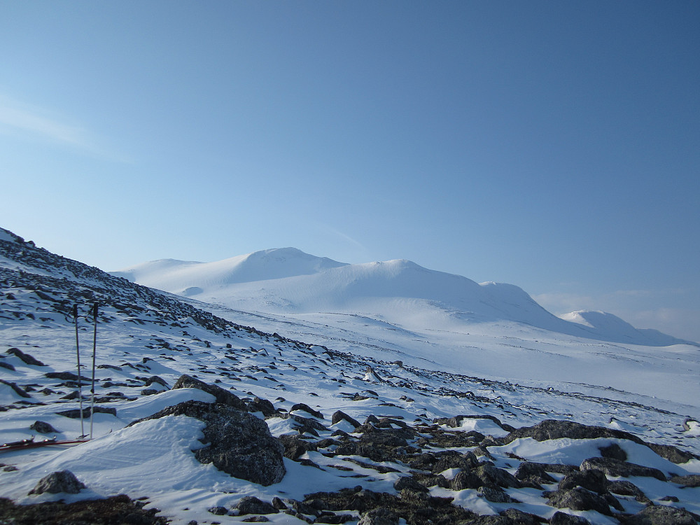 Uppå Mårådalsbænken. Der denna vesle trikanten mæ sol te høgre i bildet gjekk åss inn.