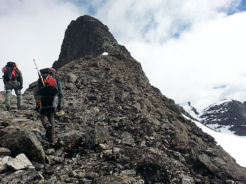 Ryggen opp mot Sokse