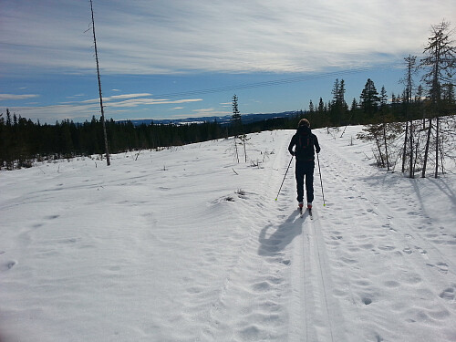 Suser avgårde, hei hvor det går!