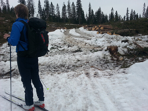 Skiløypa var mer eller mindre sammenhengende|