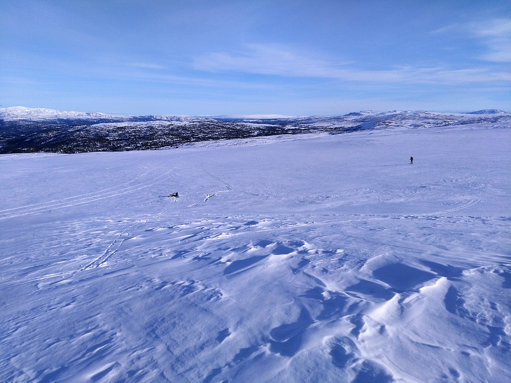 Gjennomslagsføre, og en baksende Jacob