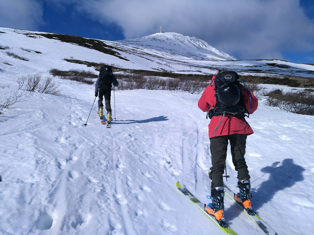 Fra starten av Langefonn