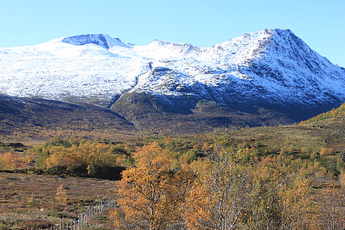 Høgdebrotet (2226 moh) og Bukkehåmåren (1910 moh) sett fra Vargebakkan.