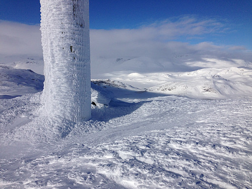 Toppen av Bitihorn (1607 moh).