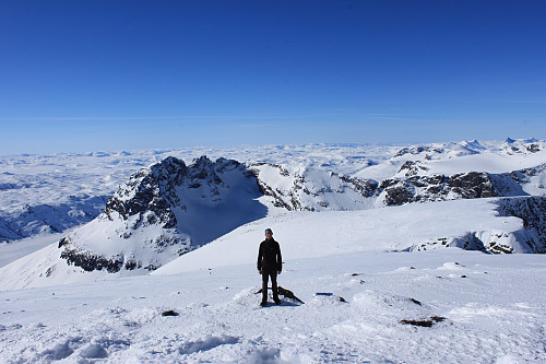 På toppen av Vestre Kalvehøgde (2208 moh). I bakgrunnen er de vakre Torfinnstindane (2120 moh).