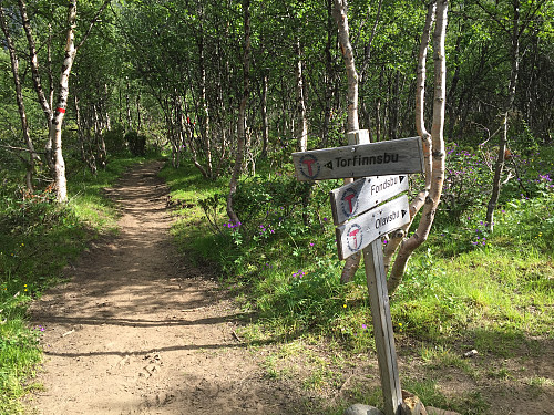 Stikryss ved Gjendebu.