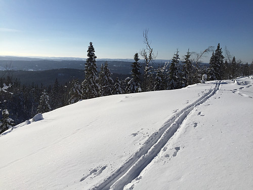 Skispor på toppen av Tjæregrashøgda (485 moh) - det høyeste punkt i Bærumsmarka.
