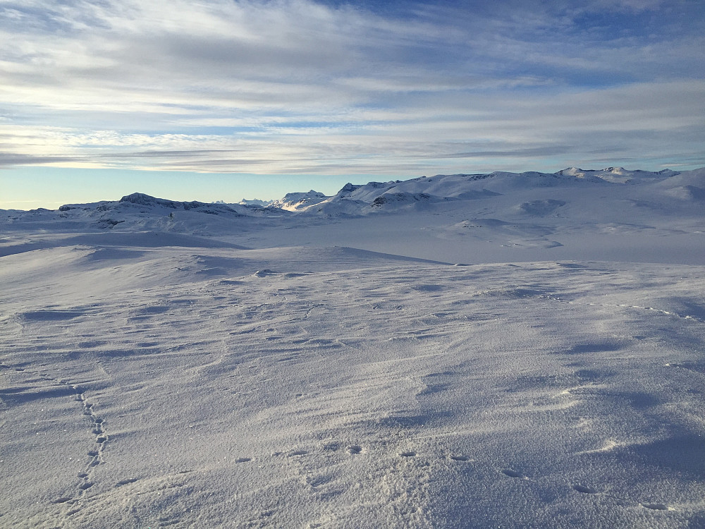 Utsikt vestover mot Jotunheimen fra toppen av Stryteberg (1310 moh).