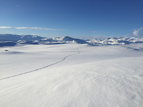 Flott skiføre på Stryteberg (1310 m). Utsikt vestover.
