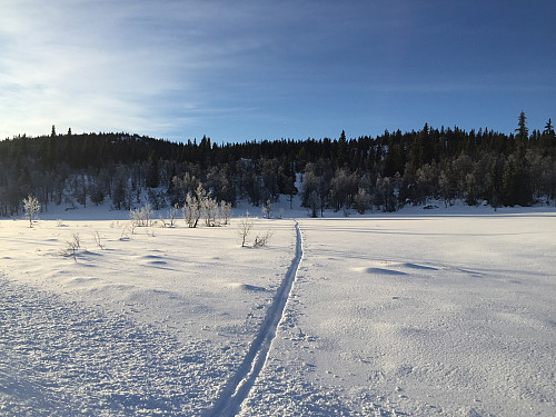 Skispor på vei mot Kollhaugen (1034 m) til venstre.