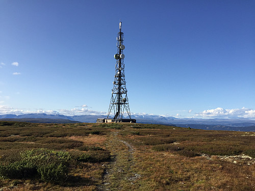 Masten på Ålfjell (1138 m)