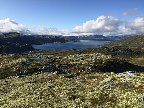 Raudbergkampen (1263 m) med utsikt nordover mot Tyin.