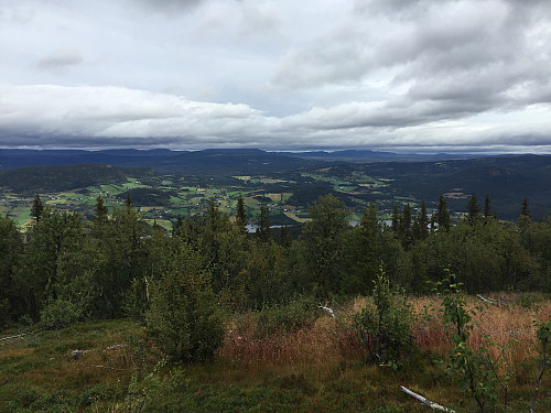 Like ved Kvithovd (1001 m).